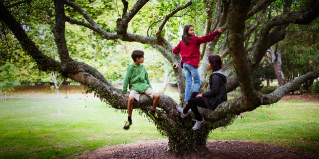 Children and mother climbing tree branches in park