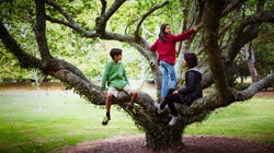 My Family Tree Was Full Of Surprise