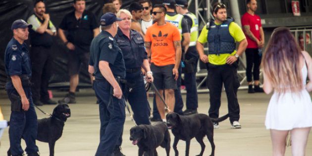 There are growing calls to dump the sniffer dog program and institute pill testing instead