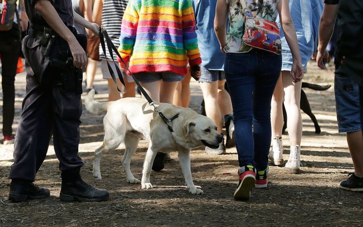 Police officers and drug detection dogs walk amongst festival goers at Splendour in the Grass