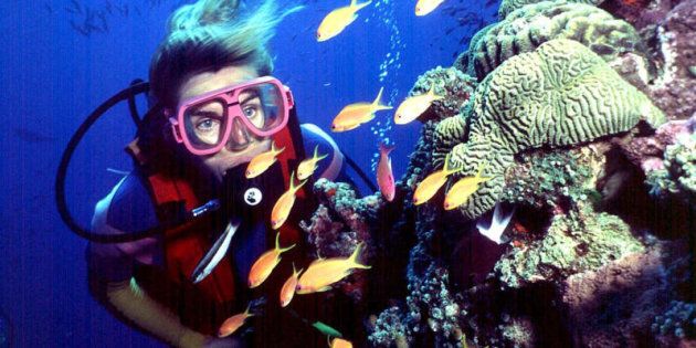 UNESCO has requested Australia accelerate efforts to improve the Great Barrier Reef's water quality.