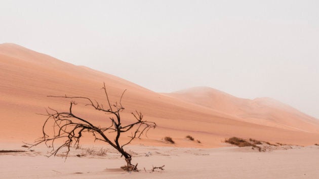 Namibia: Sandwich Harbour