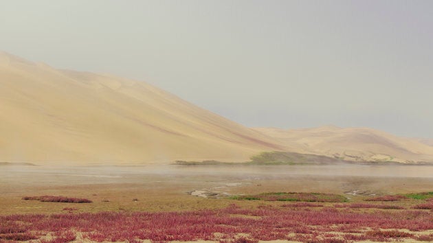 Namibia: Sandwich Harbour