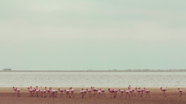 Namibia: Sandwich Harbour