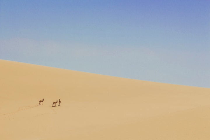 Namibia: Sandwich Harbour