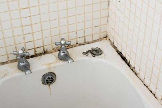 How To Get Rid Mould In Your Home