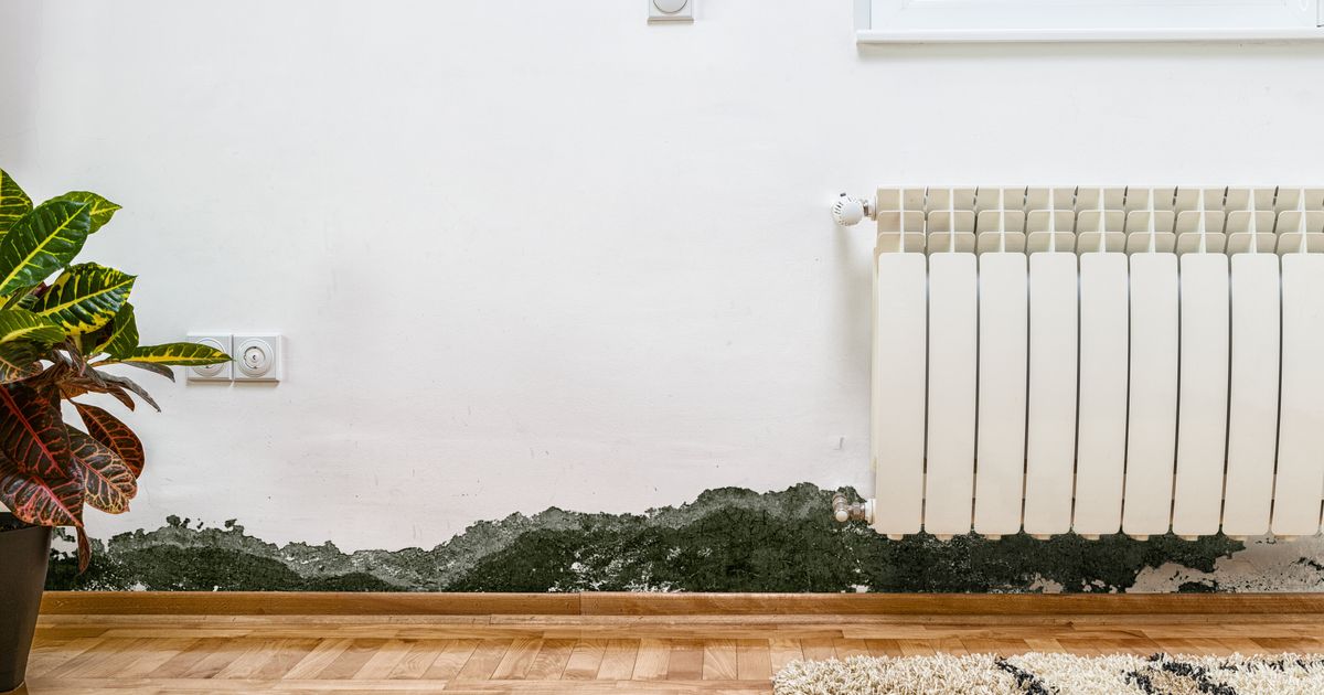 How To Get Rid Of Mould In Your Home Huffpost Australia