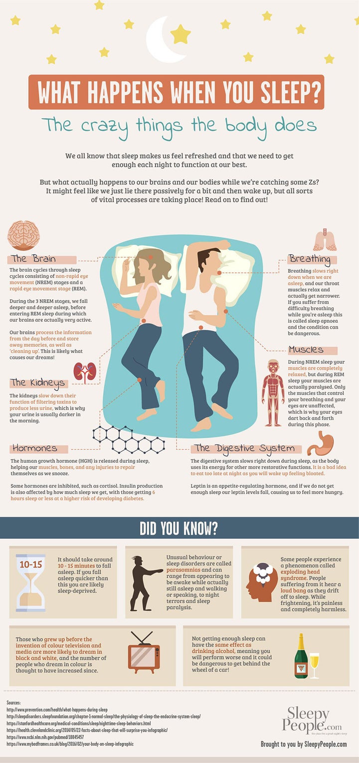 Interesting Facts about How We Sleep