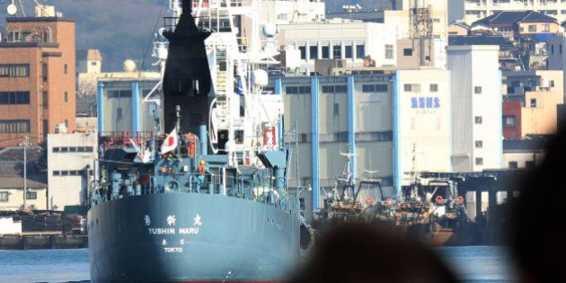 A Japanese whaling ship leaves the port of Shimonoseki in Yamaguchi prefecture, western Japan on December 1, 2015, to resume whale hunting in the Antarctic. A Japanese whaling fleet set sail for the Antarctic Ocean, intending to resume culls after a one-year pause, with environmentalists slamming the mission as a 'crime against nature'. Japan has hunted whales for centuries and their meat was once a key source of protein for the population, but consumption has dramatically declined as the country grew into one of the world's wealthiest economies. AFP PHOTO / JIJI PRESS JAPAN OUT / AFP / JIJI PRESS / JIJI PRESS (Photo credit should read JIJI PRESS/AFP/Getty Images)