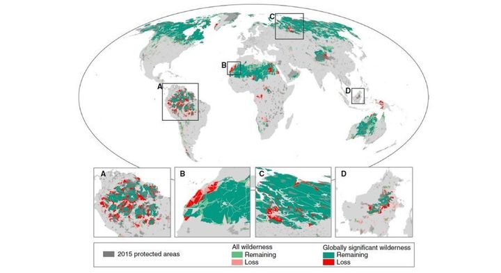 One tenth of the world's wilderness areas are no longer considered 'wilderness' -- shown in red.