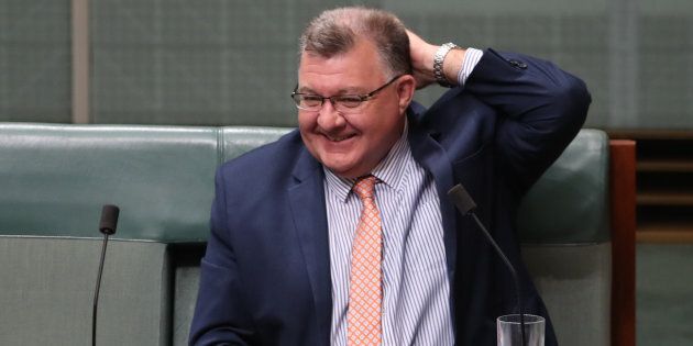 Liberal MP Craig Kelly has again attacked renewable energy.