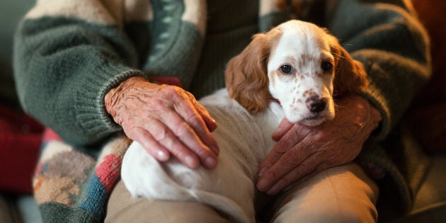 If you ever needed proof that a dog is man's best friend...