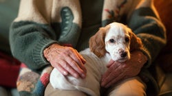 I Still Pinch Myself When I Remember What Our Dog Did When My Dad
