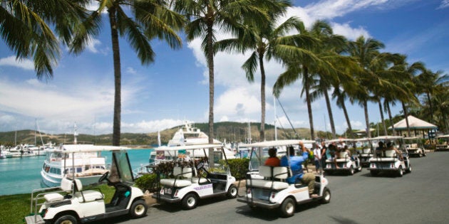 hamilton buggy hire