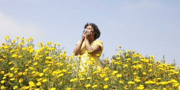 Mixed race woman in field of flowers enjoying scent