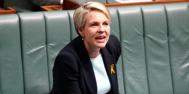 Deputy Opposition Leader Tanya Plibersek says the plebiscite will be expensive, non-binding and divisive
