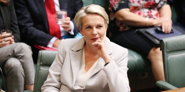 Acting Opposition Leader Tanya Plibersek says Malcolm Turnbull is desperate for wins