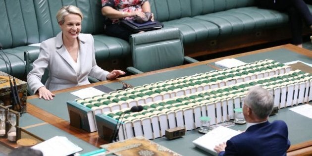 When Bill's away. Tanya Plibersek faces off Prime Minister Malcolm Turnbull during question time