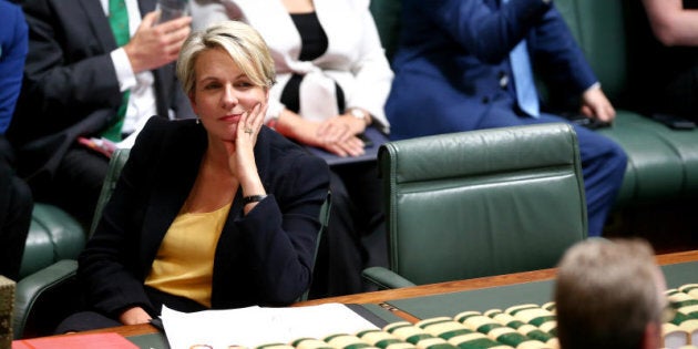 Ms Plibersek says Cory Bernardi is "calling the shots" on marriage equality.