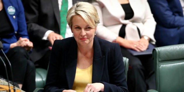 Tanya Plibersek says she would be "very, very surprised" if a Labor MP exercised their conscience vote over the plebiscite