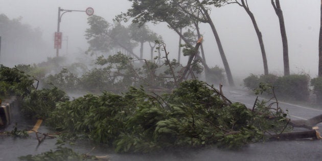 PINGTUNG, Sept. 14, 2016 -- Trees are broken by strong wind on a highway from Pingtung to Kenting in typhoon-hit Taiwan, southeast China, Sept. 14, 2016. Typhoon Meranti on Wednesday brought strong winds and heavy downpour to the island. (Xinhua via Getty Images)