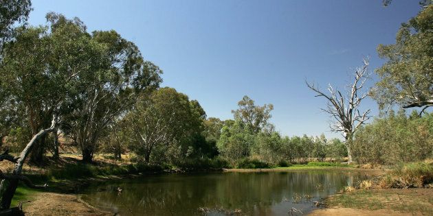 The Darling River in a typically low season. Every drop is like gold.