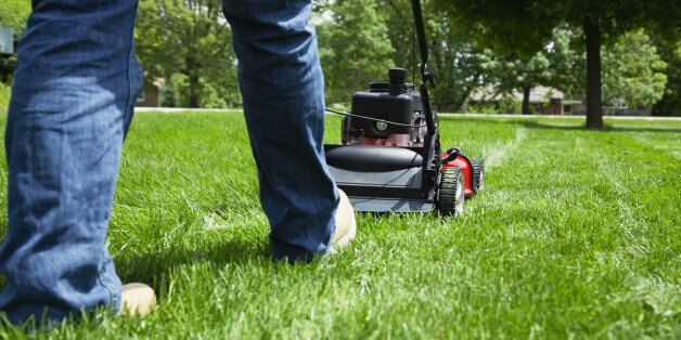 grass lawn mower
