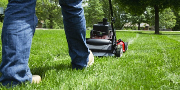 Man mowing lawn