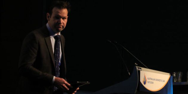 Resources Minister Matt Canavan has stepped down from Cabinet over dual citizenship issues.