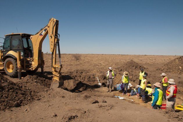 The 2015 Austrosaurus dig site being excavated.