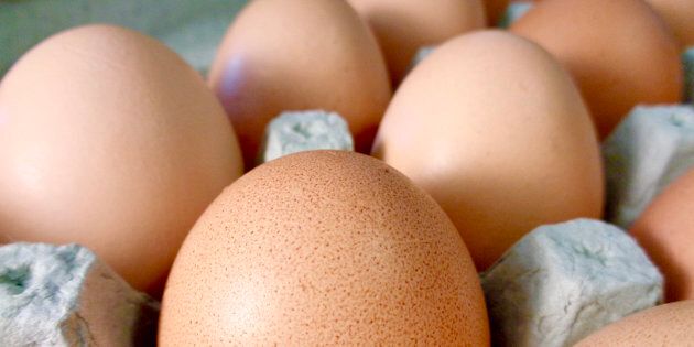 Organic brown eggs in egg carton