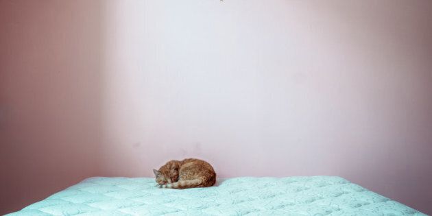 A ginger cat sleeps curled up into a small ball on a big, empty, unmade bed.