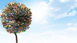 Money Might Not Grow On Trees, But Here's How It Can Grow In Your