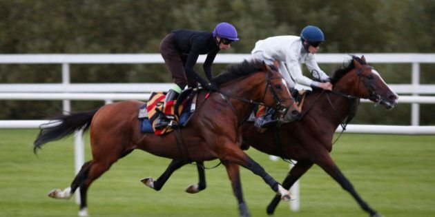 DUBLIN, IRELAND - SEPTEMBER 12: Joseph O'Brien riding Gleneagles (L) gallop after racing at Leopardstown racecourse on September 12, 2015 in Dublin, Ireland. (Photo by Alan Crowhurst/Getty Images)