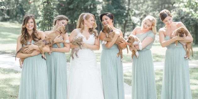 The bride has been involved with the Pitties For Peace organization since it was founded in 2011. 