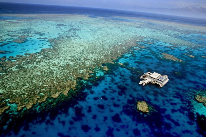The Great Barrier Reef ,experienced the worst coral bleaching event in history last summer.