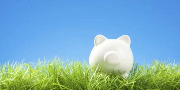 White Piggy Bank in Grass, Blue Sky and Copy Space