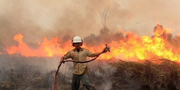 An Indonesian firefighter combats a forest fire in South Sumatra in September 2015. The haze returned to much of Southeast Asia this year.