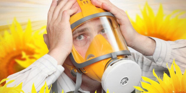 Unhappy man in protection mask in a sunflower field. Allergy concept.