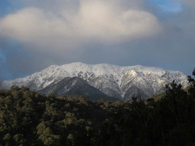 Mount Bogong in winter. Courtney did his run in May when the peak had just a dusting of snow on top, but it still made for tough running.