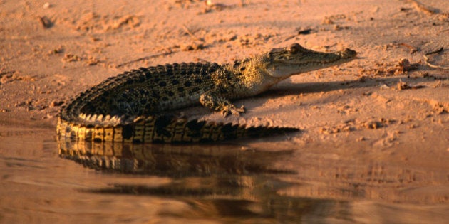 Kakadu National Park, Northern Territory, Australia, Australasia