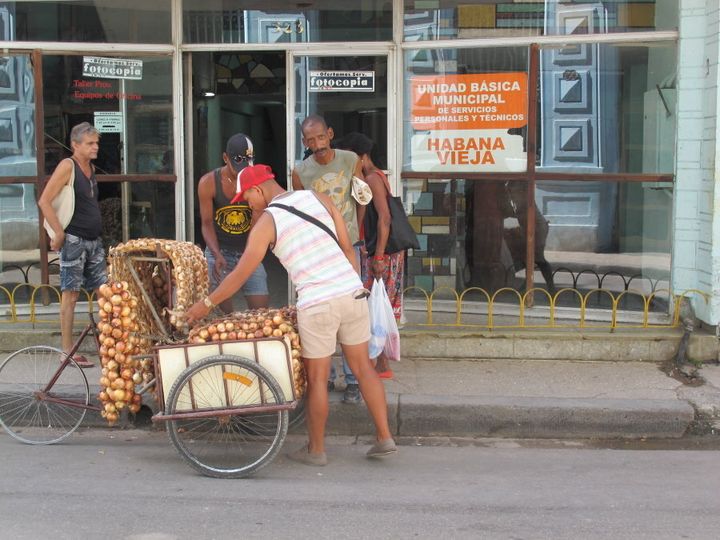 A Cuban selling garlic on the streets of Havana.