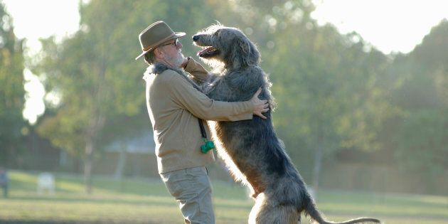Man and Irish Wolfhound Dog at the park, embracing.