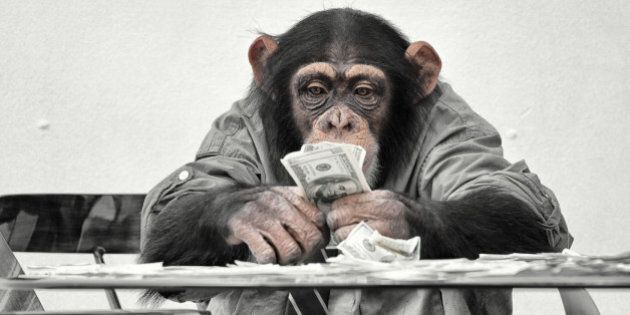 Chimp with cash