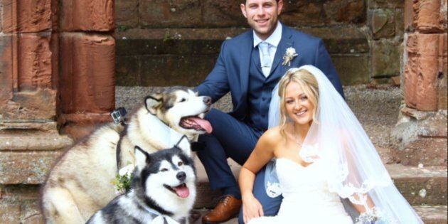 Emma-Leigh and Shane Matthews included their canine maid of honor and best man in