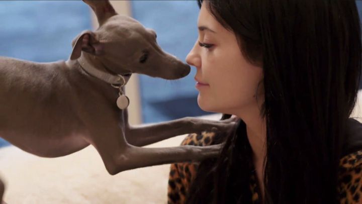 The voice of a generation meets the breath of an Italian Greyhound.