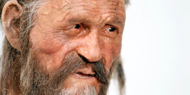 A statue representing an iceman named Oetzi, discovered on 1991 in the Italian Schnal Valley glacier, is displayed at the Archaeological Museu of Bolzano on February 28, 2011 during an official presentation of the reconstrution. Based on three-dimensional images of the mummy's skeleton as well as the latest forensic technology, a new model of the living Oetzi has been created by Dutch experts Alfons and Adrie Kennis. AFP PHOTO / Andrea Solero (Photo credit should read Andrea Solero/AFP/Getty Images)