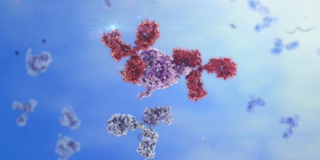 IG-g like Antibodies binding to a foreign protein.