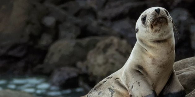 Uncle Bill hates it when people discuss climate science before his fish dinner.