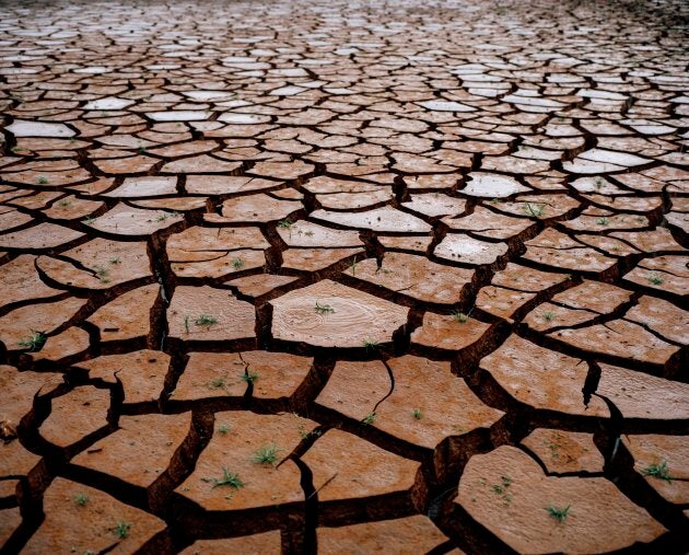 São Paulo suffered two of the driest seasons on record, back-to-back in 2014 and 2015, leaving the five reservoirs in the Cantareira system, which supply the majority of the city's water, just 12% full.